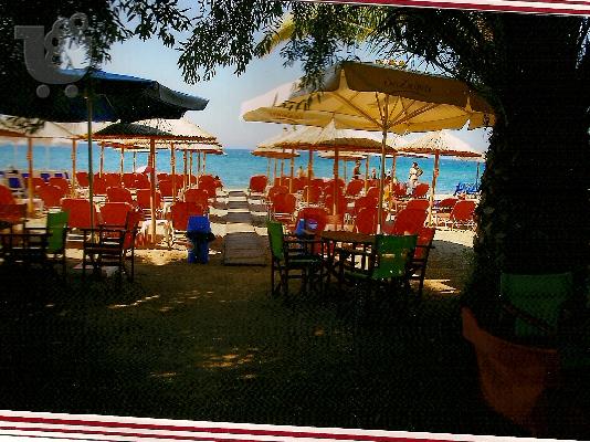 ΕΥΚΑΙΡΙΑ!!! ΠΩΛΕΙΤΑΙ ΜΠΟΥΓΑΤΣΑ ΚΑΙ BEACH-BAR ΣΤΗ ΧΑΛΚΙΔΙΚΗ...