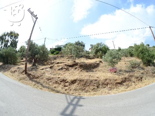 οικοπεδο Άφυσσος Πήλιο ΕΥΚΑΙΡΙΑ