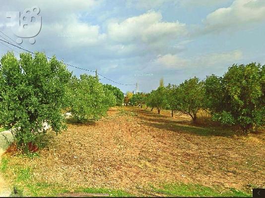 PoulaTo: Επενδυτικό οικόπεδο εντος σχεδιου πολης, 1.138 τετραγωνικά μέτρα