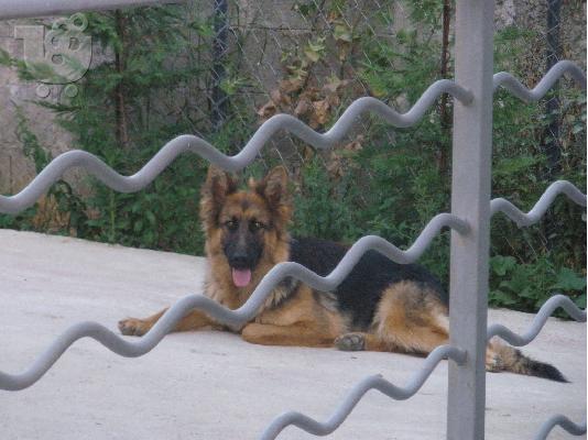 ΕΥΚΑΙΡΙΑ
