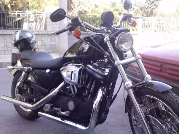 PoulaTo: HARLEY DAVIDSON XL Sportster 883 R '03