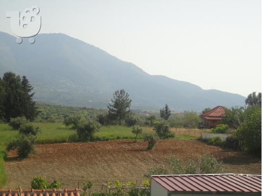 ΠΩΛΗΣΗ ΟΙΚΟΠΕΔΟΥ ΚΥΠΑΡΙΣΣΙΑ ΜΕΣΣΗΝΙΑ