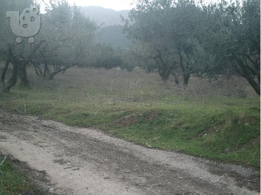 PoulaTo: ΒΙΟΜΗΧΑΝΙΚΗ ΕΚΤΑΣΗ ΠΑΤΡΑ ΡΙΟΝ-ΑΧΑΪΑΣ KFKMGM7560R1