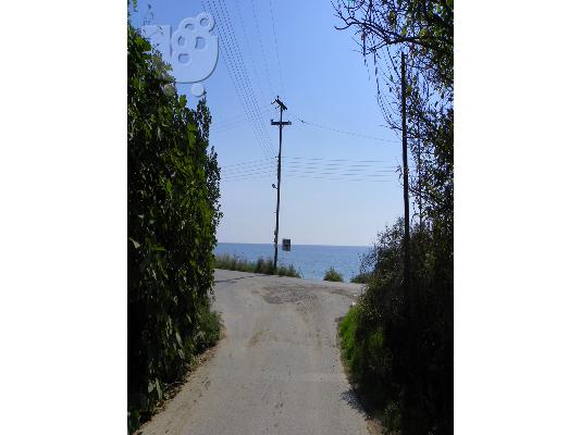 γωνιακο οικοπεδο καλλικρατεια