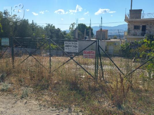 Πώληση οικόπεδο Καματερό - Άτταλος 295τμ