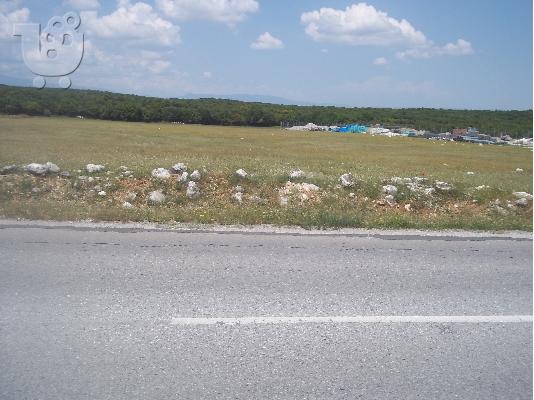ΠΩΛΕΙΤΑΙ Αγροτική έκταση 5.500 μ.