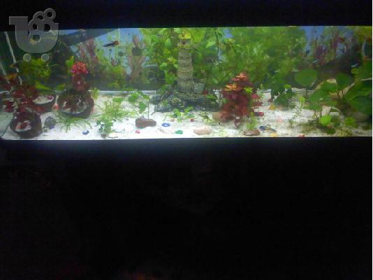 πωλειται ενυδρειο 120lt