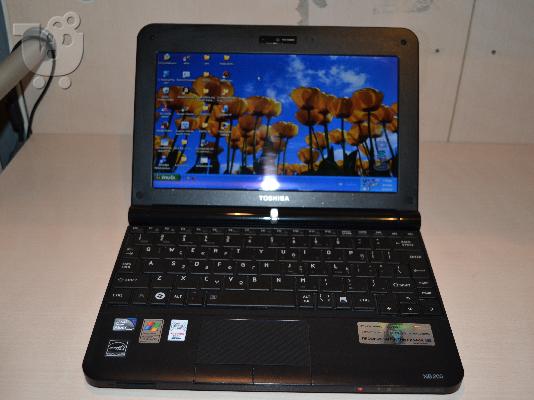 PoulaTo: toshiba netbook 10inch