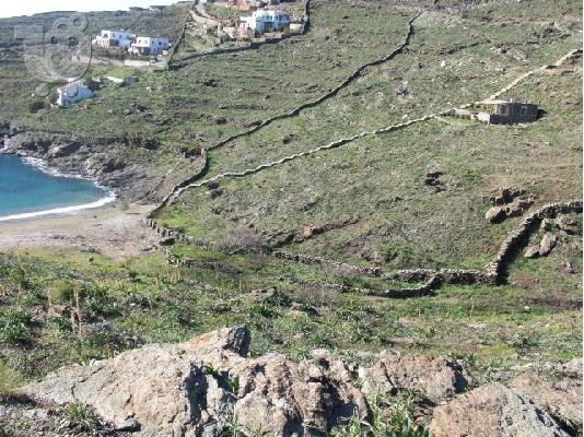 ΠΑΡΑΘΑΛΑΣΣΙΟ ΟΙΚΟΠΕΔΟ ΚΥΘΝΟΣ 12 ΣΤΡΕΜΜΑΤΑ