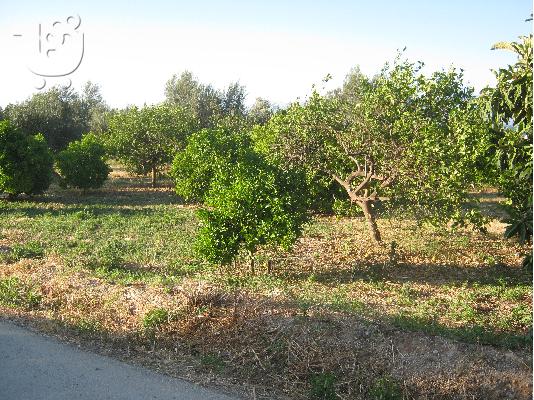 Πωλείται αγροτεμάχιο, περιοχή Γελινιατίκων Δήμου Ξυλοκάστρου...