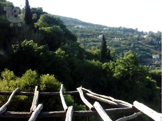 Πωλειται οικοπεδω στην μακρινιτσα πηλιου εντος σχεδιου λογο μεγαλης αναγγης...