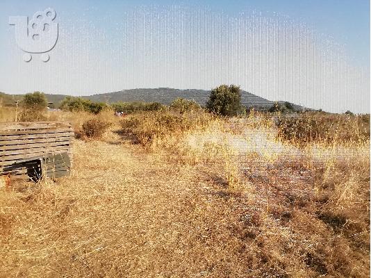 ΠΩΛΕΙΤΑΙ ΑΓΡΟΤΕΜΑΧΙΟ 2 ΣΤΡΕΜΑΤΑ