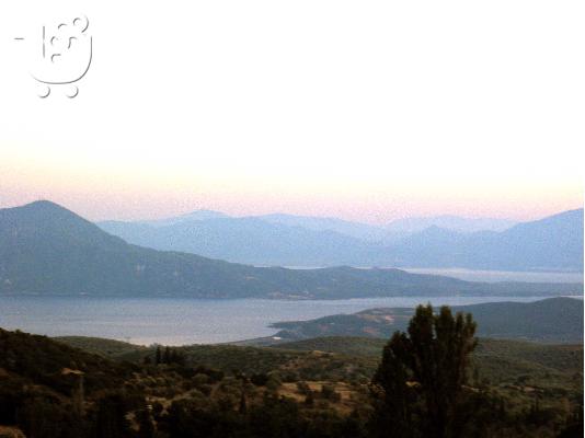 PoulaTo: MΥΛΟΙ ΠΕΛΑΣΓΙΑΣ