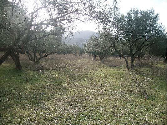 ΒΙΟΜΗΧΑΝΙΚΗ ΕΚΤΑΣΗ ΠΑΤΡΑ ΡΙΟΝ-ΑΧΑΪΑΣ KFKMGM7560R1