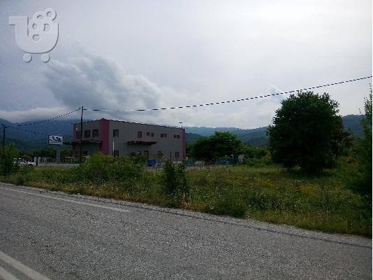 ΠΩΛΗΣΗ ΟΙΚΟΠΕΔΟΥ ΟΛΥΜΠΙΑΔΑ ΧΑΛΚΙΔΙΚΗΣ