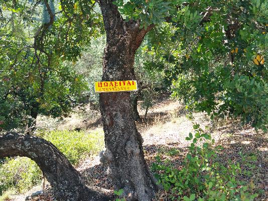Πωλείτε παραθαλάσσιο οικόπεδο