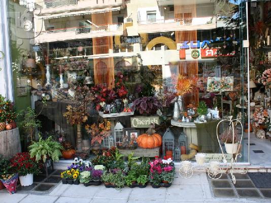 ΠΩΛΕΙΤΑΙ ΤΟ ΑΝΘΟΠΩΛΕΙΟ ΝΤΑΝΙΕΛΑ