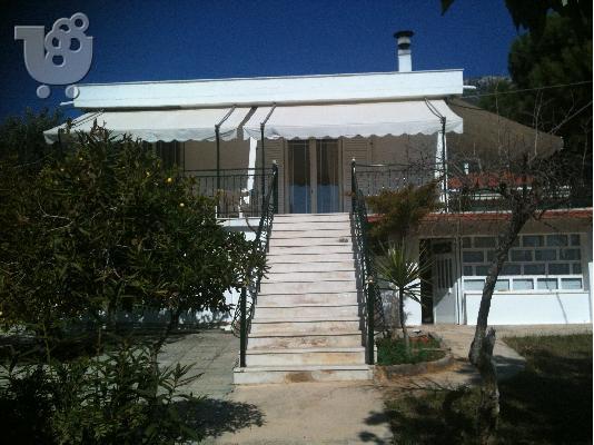 Εξαιρετική Μονοκατοικία εντός αγροτεμαχίου 1120τμ 150000 €...