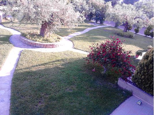 Κασσανδρα,Μόλα Καλύβα,ισόγειο διαμέρισμα  στη θάλασσα...