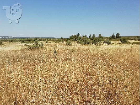 PoulaTo: ΠΩΛΕΙΤΑΙ ΑΓΡΟΤΕΜΑΧΙΟ 3 ΣΤΡΕΜΑΤΑ