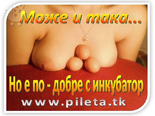PoulaTo: Θερμοκοιτίδες