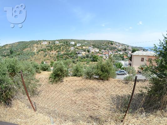 οικοπεδο Άφυσσος Πήλιο ΕΥΚΑΙΡΙΑ