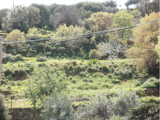 οικοπεδο ΛΕΡΟΣ 506τμ+906τμ
