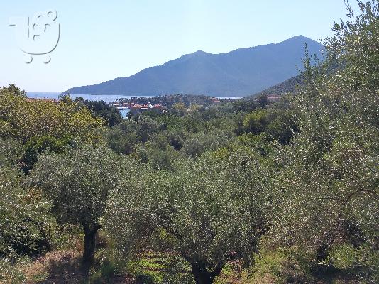 PoulaTo: Πωλείτε παραθαλάσσιο οικόπεδο