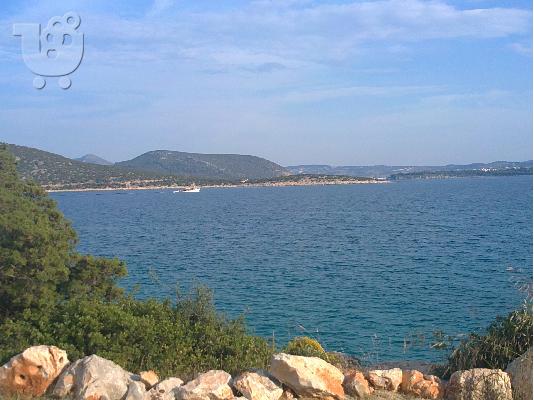 PoulaTo: ΟΙΚΟΠΕΔΟ ΣΑΛΑΝΤΙ ΑΡΓΟΛΙΔΟΣ