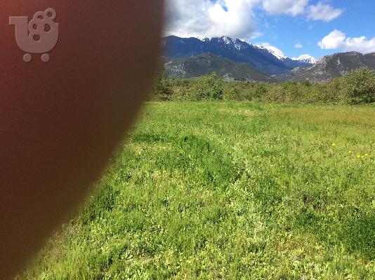 ΠΩΛΕΙΤΑΙ ΑΓΡΟΤΕΜΑΧΙΟ 1,5 ΣΤΡΕΜΑΤΑ