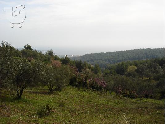 PoulaTo: ΑΓΙΑ ΑΝΝΑ ΑΓΚΑΛΗ ΟΙΚΟΔΟΜΗΣΙΜΟ ΑΓΡΟΤΕΜΑΧΙΟ