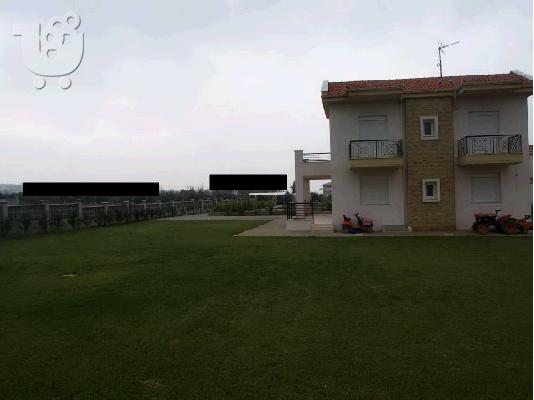 PoulaTo: ΠΩΛΕΙΤΑΙ ΜΟΝΟΚΑΤΟΙΚΙΑ ΣΤΟ Ν.ΡΥΣΙΟ-31571