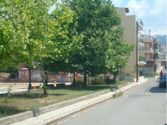 PoulaTo: ΠΡΟΣΗΛΙΟ ΟΙΚΟΠΕΔΟ ΣΤΗΝ ΚΑΛΑΜΑΤΑ