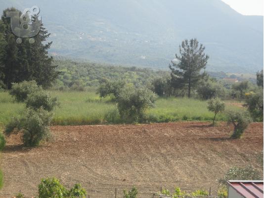 ΠΩΛΗΣΗ ΟΙΚΟΠΕΔΟΥ ΚΥΠΑΡΙΣΣΙΑ ΜΕΣΣΗΝΙΑ