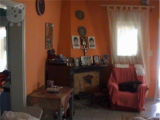 Ευκαιρια!!! μονοκατοικια σε 3000τμ οικοπεδο εξω απο την επανομη ...