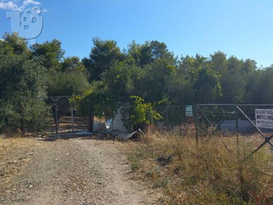 Πώληση οικόπεδο Καματερό - Άτταλος 295τμ