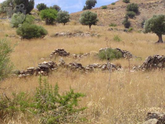 ΦΙΛΕΤΟ(ευκαιρια)Ν.Ρεθυμνου