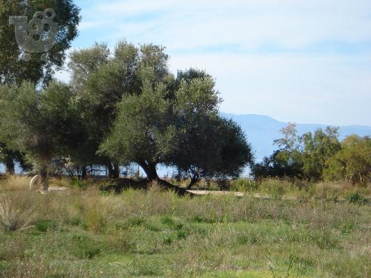 Πανω στο κυμα