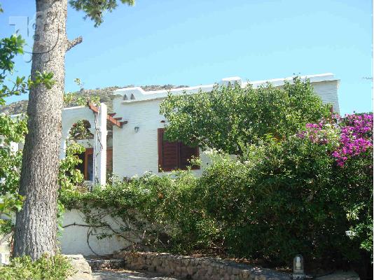 Βίλα Επιπλωμένη182 τ.μ., Άγιος Δημήτριος,(Αθήνα - Ανατολικά Προάστια)Κορωπί, 2500 τ.μ. με ...