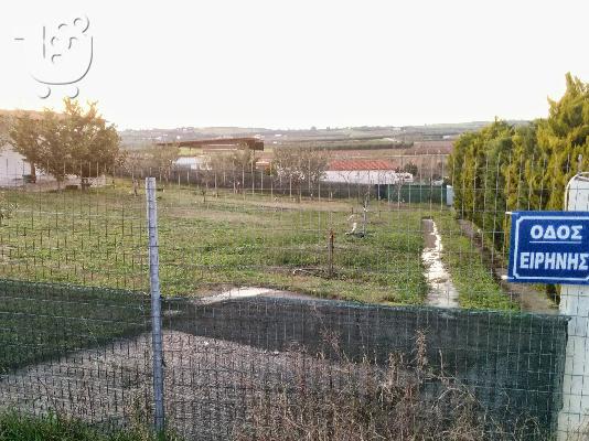 Πώληση αγρότεμαχίου στον Αγιο Παύλο