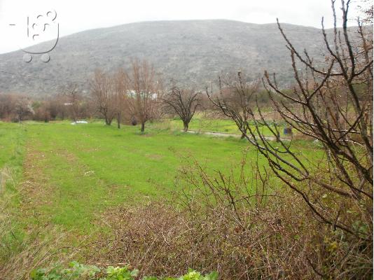 Πωλείται γωνιακό οικόπεδο