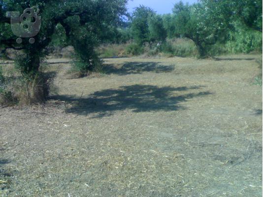 Oικοπεδο 2000τμ. Ζακυνθο