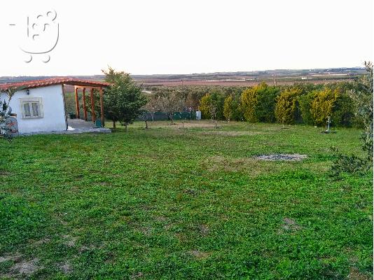 Πώληση αγρότεμαχίου στον Αγιο Παύλο