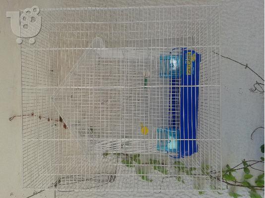 ΠΡΟΣΤΑΤΕΥΤΙΚΟ ΚΛΟΥΒΙΟΥ