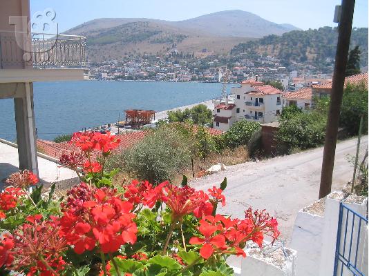 Ανακαινισμένη και επιπλωμένη πέτρινη μονοκατοικία στην Αμφιλοχία με μεγάλο κήπο...