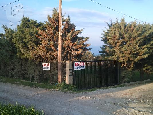 PoulaTo: ΑΓΡΟΤΕΜΑΧΙΟ