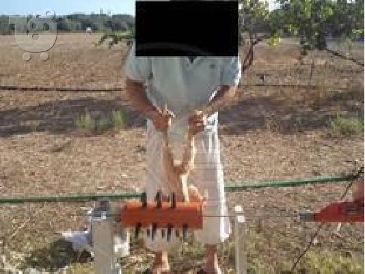 PoulaTo: Ξεπουπουλιάστρα