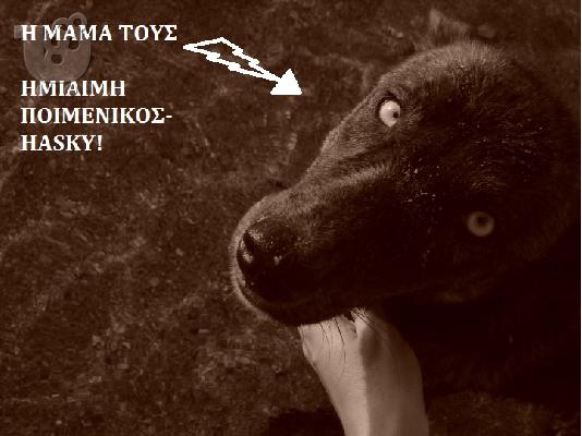 ΧΑΡΊΖΟΝΤΑΙ!!!