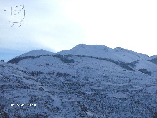 PoulaTo: ΑΚΙΝΗΤΟ 35 ΣΤΡΕΜΜΑΤΑ