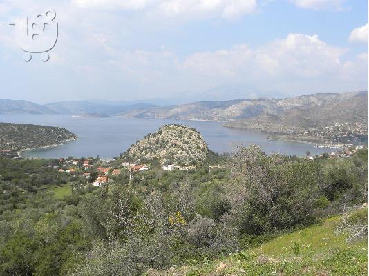 PoulaTo: ΑΛΥΚΗ ΔΗΜΟΣ ΘΙΣΒΗΣ ΒΟΙΩΤΙΑ